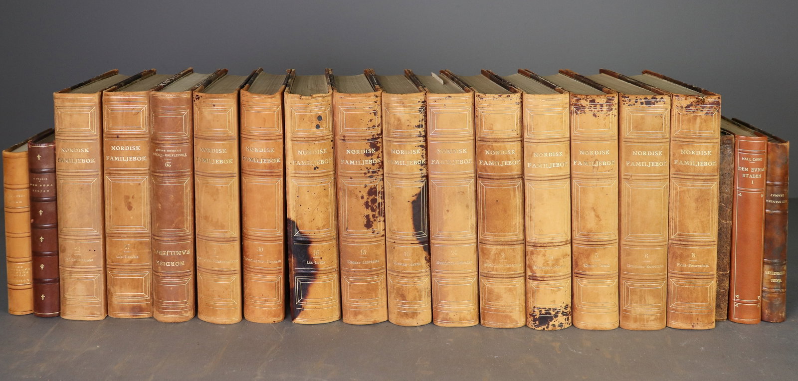 19 Leather Bound European Books / Novels: 19 Leather Bound European Books / Novels - 9.75 in tall x 6.5 x 2