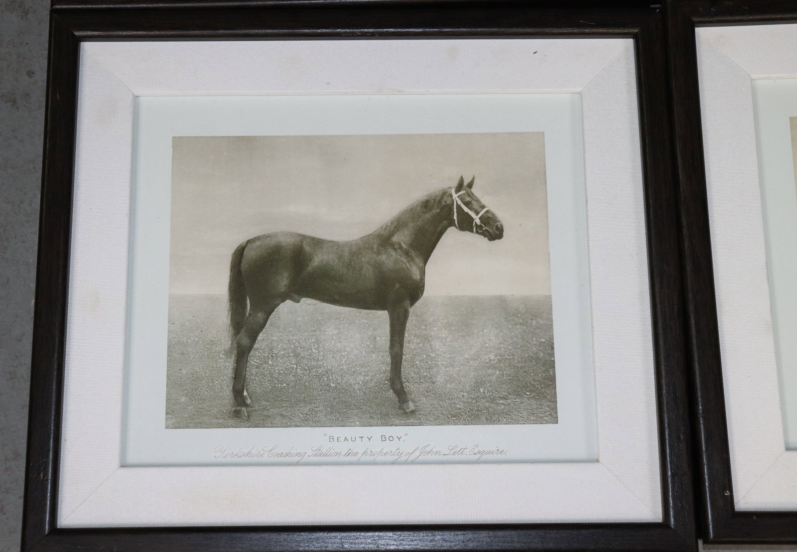 9 Assorted Equestrian Framed Prints - 4