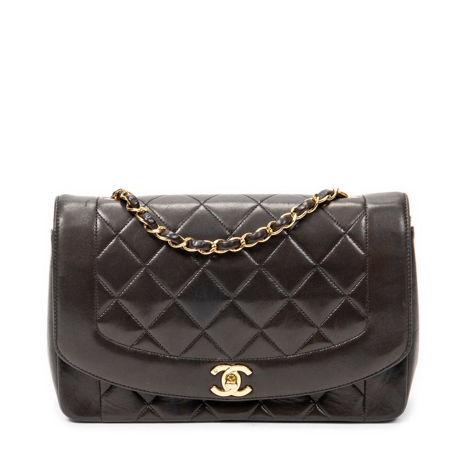 Chanel Diana Flap in Black Quilted Lambskin Leather (1 of 10)