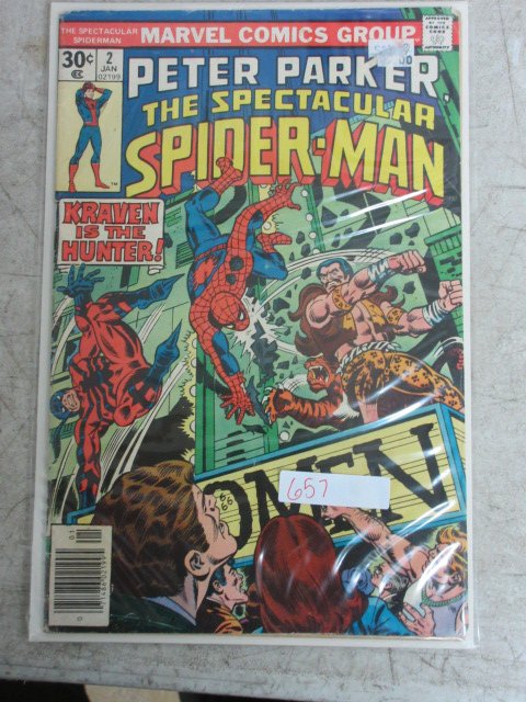 peter paker spectacular Spider-man # 2 , 1977 marvel (1 of 1)