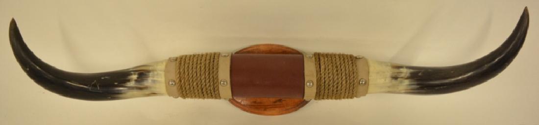 Black & White Steer Horns Wall Plaque (1 of 2)