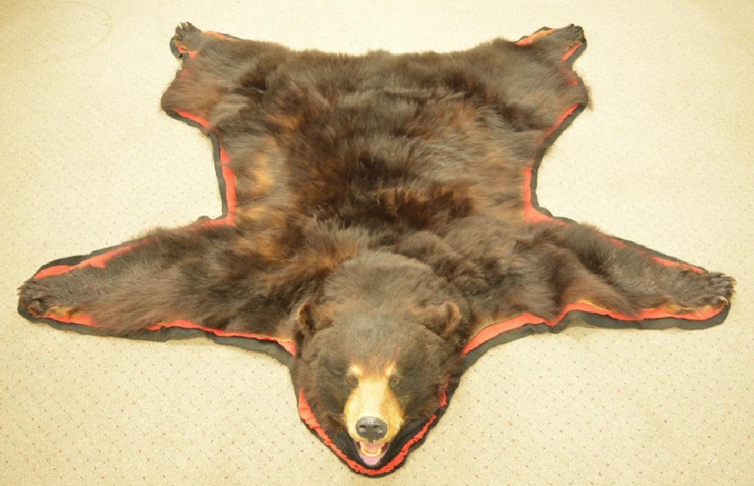 Gorgeous Black Bear Rug: Beautiful extra thick prime long hair Black Bear Rug with red felt backing. Overall the rug measures 72" long x 68" across.