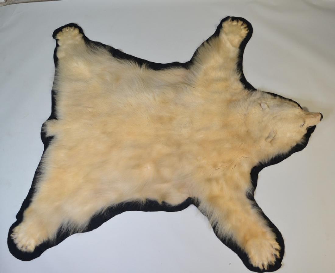 Beautiful Polar Bear Rug Mount: * THIS LOT CAN ONLY BE PURCHASED BY INDIANA RESIDENCES ONLY * Beautiful thick long hair Polar Bear Rug with black felt backing. Nice condition with some light wear from use and age. Displays very well