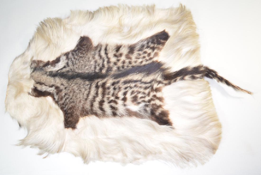 Hyena Skin Rug Mount: Nice Hyena skin rug mount. Nice condition. Displays well. Overall the rug measures 49" long including tail by 34" across.