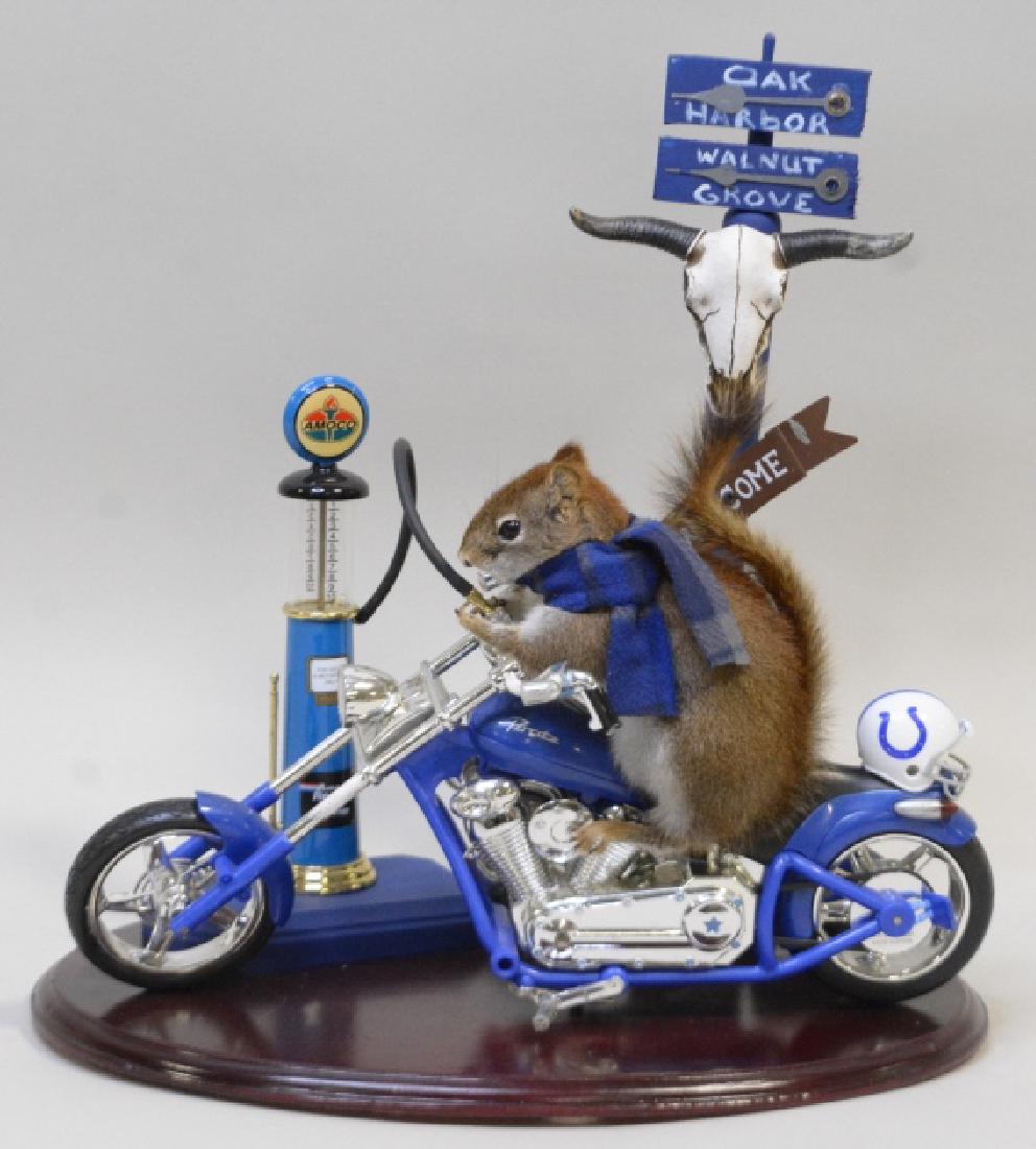 Red Squirrel On A Chopper With Colts Helmet: Nice Red Squirrel flilling up his chopper at the gas pump, with a colts helmet, and road signs. Measures approximately 14.75" tall x 14" across.