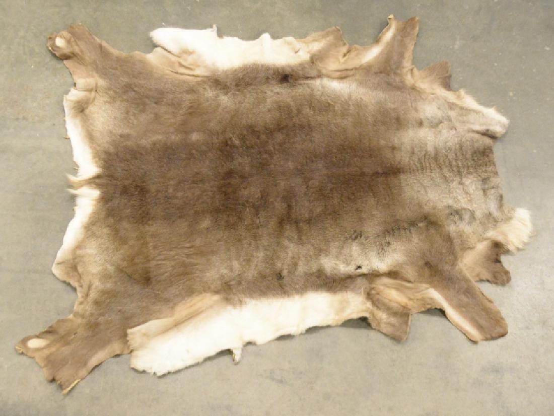 Large Caribou Hide