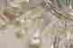 item-68114043=5