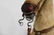 Nickolaus Klein Hand-Crafted Large Pull-Toy Horse - 10