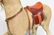 Nickolaus Klein Hand-Crafted Large Pull-Toy Horse - 8