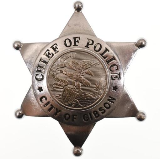 Obsolete Gibson City ILL. Chief Of Police Badge: Nice obsolete Gibson City Illinois Chief Of Police badge. Badge is in nice condition with pinback. Back is marked "W.S. Darley & Co.". It measures approximately 2-1/2" tall by 2" across.