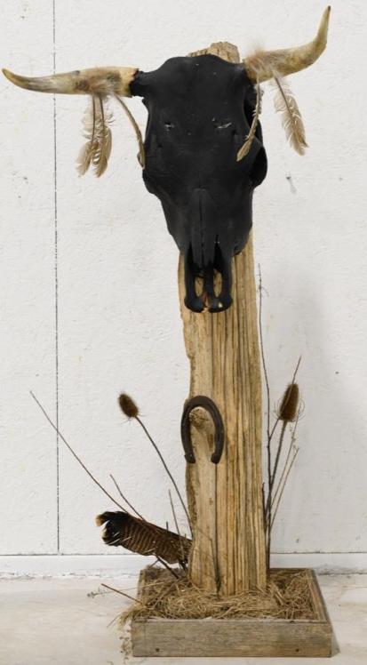 Buffalo Skull Taxidermy Display (1 of 6)
