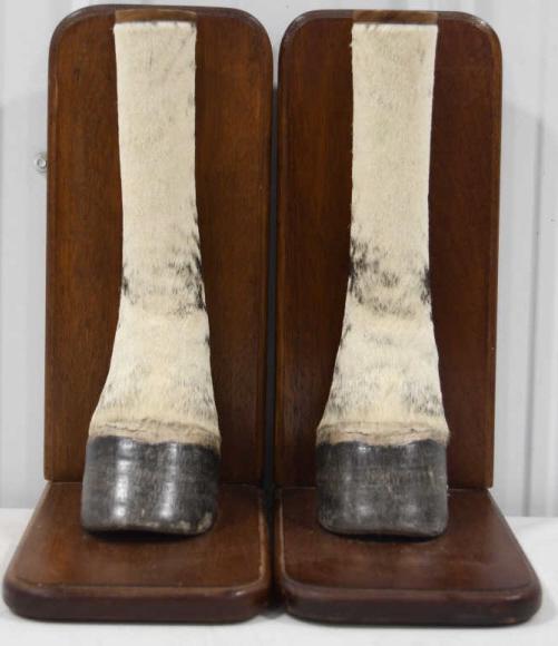 Set Of Zebra Leg Book Ends (1 of 8)