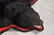 Large Black Bear Full Body Taxidermy Rug - 5