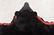 Large Black Bear Full Body Taxidermy Rug - 8