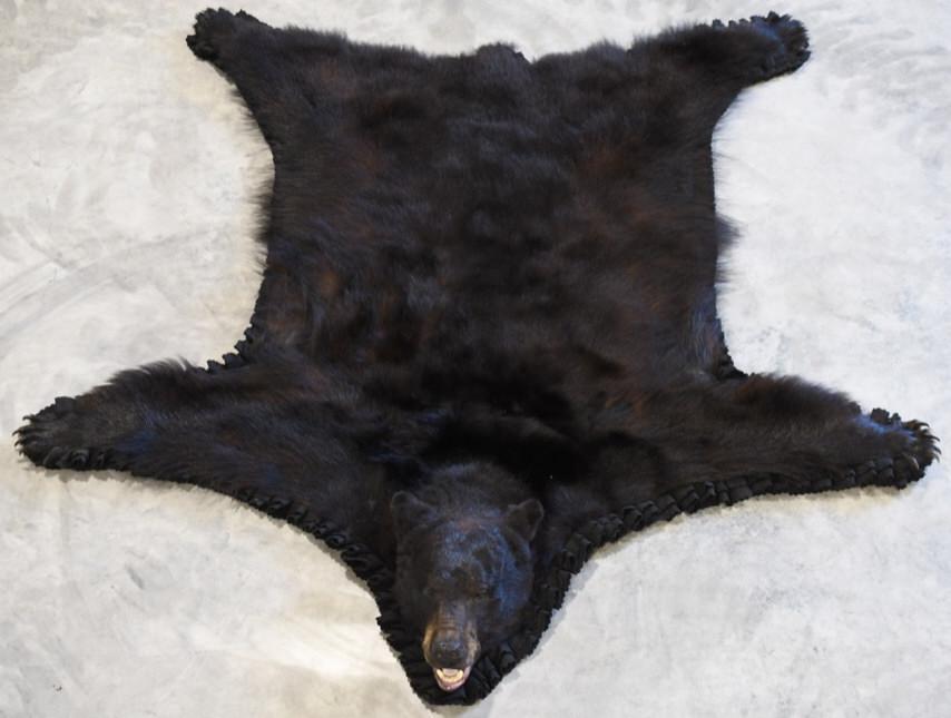 Black Bear Full Body Taxidermy Rug: Nice full body taxidermy Black Bear rug. Nice condition with a fabric back and felt edging. Displays well with head and claws. It measures appropximately 86" from nose to back claw, and 82" wide.