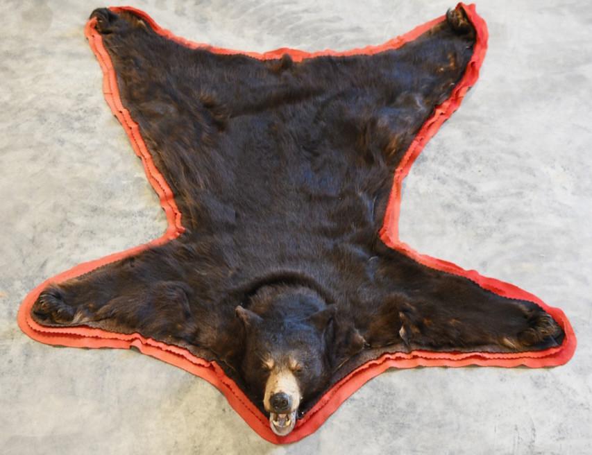 Brown Bear Full Body Taxidermy Rug (1 of 3)
