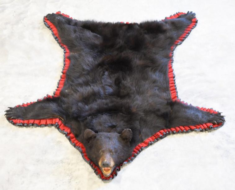 Black Bear Full Body Taxidermy Rug: Nice full body taxidermy Black Bear rug. Has fabric backing with felt trim. Displays well with head and claws. It measures appropximately 70" from nose to back claw, and 66" wide.