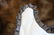 Chocolate Black Bear Full Body Taxidermy Rug - 5