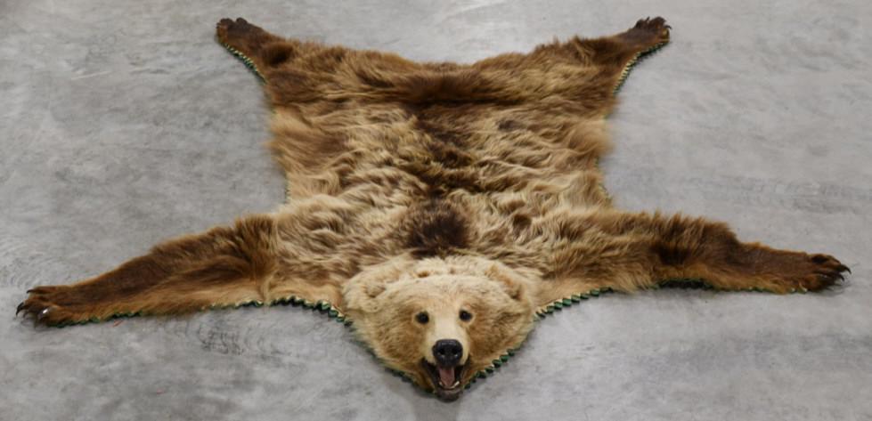 Brown Phase Black Bear Rug (1 of 7)