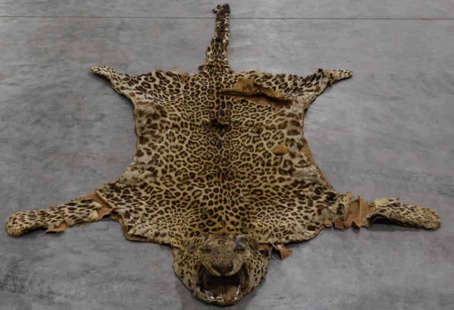 African Leopard Rug (1 of 9)