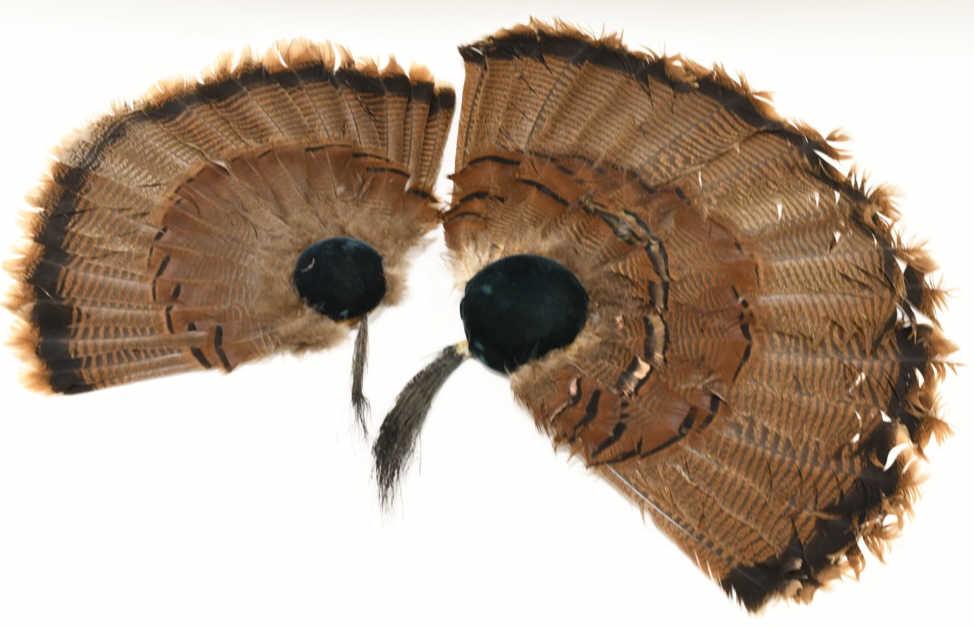 Lot Of 2 Turkey Feather Wall Plaque (1 of 5)