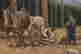 item-79612648=2
