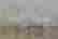 item-79613177=4