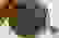 item-79836346=5