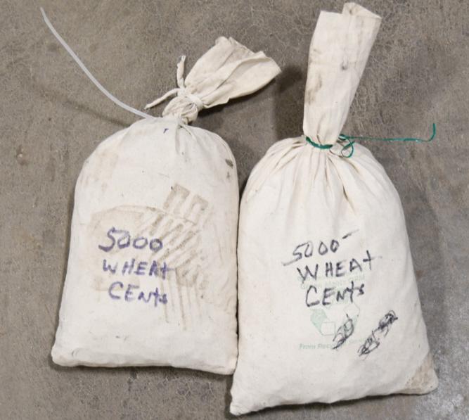 Approx. 10,000 Wheat Pennies (1 of 1)