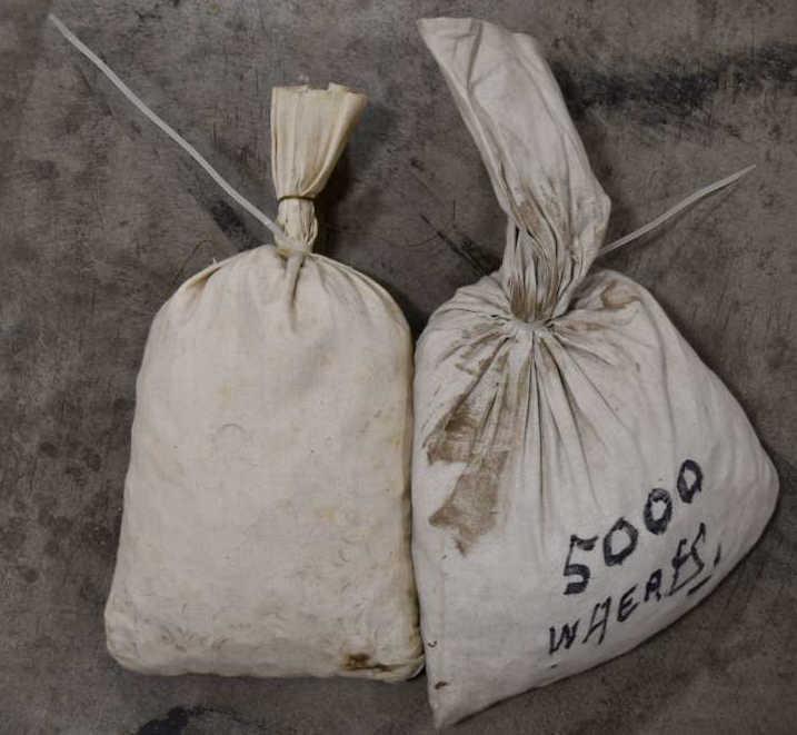 Approx. 10,000 Wheat Pennies (1 of 1)