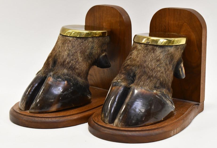 Pair Of Taxidermy Water Buffalo Hoof Book Ends: Unique pair of taxidermy Water Bufflo hoof bookends. Displays well with brass caps. They measure approximately 7-3/4" tall by 6-1/4" across.