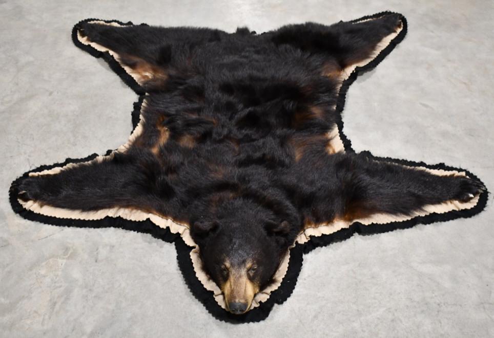 Full Body Black Bear Taxidermy Rug: Full body taxidermy Black Bear rug. Nice condition with a fabric back and felt edging. Displays well with head and claws. The bear has some fur loss. It measures appropximately 68" from nose to back c