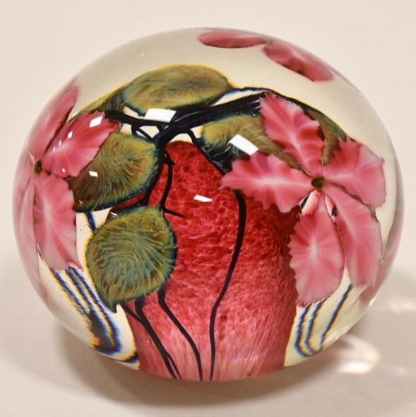 1996 Daniel Lotton Clementis Art Glass Paperweight: Beautiful dated and signed 1996 Daniel Lotton Clementis art glass paperweight. The paperweight measures 3-1/4" tall x 4" across and is in great condition.
