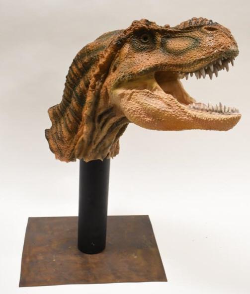 Large Tyrannosaurus Rex Head Bust On Custom Base: Unique large Tyrannosaurus Rex head bust on cutom made base. Displays very well with detail and realistic eyes. Overall with base it measures approximately 30" tall by 23" across.