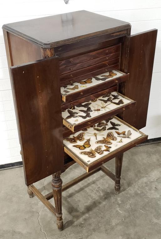 Antique Butterfly Collection & Cabinet (1 of 20)