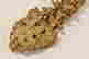 item-120988384=2