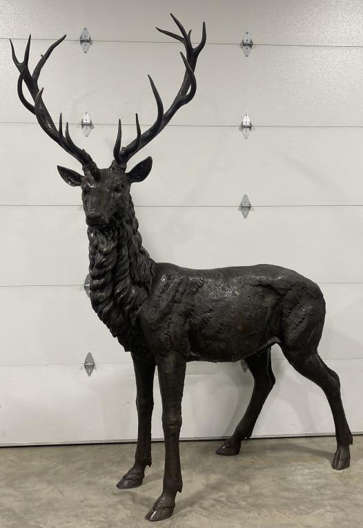 Life Size Standing Elk Bronze Statue: Life size bronze standing elk statue. The bronze is in great condition with quality detail. It measure approx. 62" x 24" x 115" not including the antlers.
