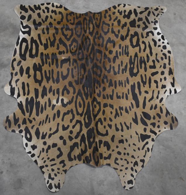 Jaguar Print Over Cowhide Taxidermy Rug: Unusual Jaguar print over cowhide taxidermy rug. Nice condition with light wear from storage and display. Overall it measures approximately 86" long by 69" wide.