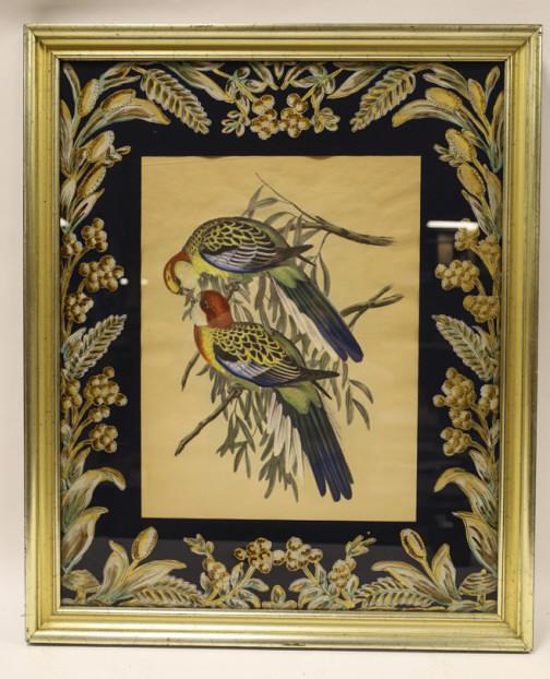 John Gould "Eastern Rosella" Lithograph: Hand colored lithograph by John Gould. This Lithograph is titled "Eastern Rosella." Sight measures approximatley 12.75" across X 17" tall, framed it measures 23.5" across X 28.5" tall.