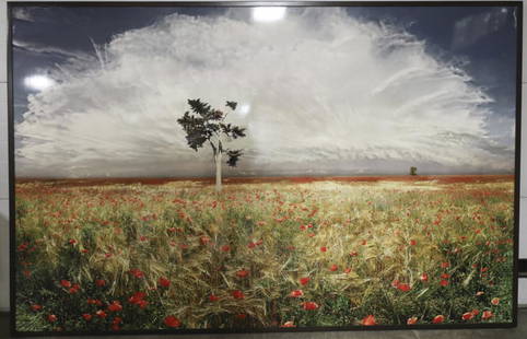 2005 Jean Francois-Rauzier "Poppies" Photograph: 2005 Jean Francois-Rauzier "Poppies" Photograph with UV laminate. This large scale photograph is assembled from 200 close-ups. Features a poppy field with tree and birdcage. Sight measures 64" tall 96