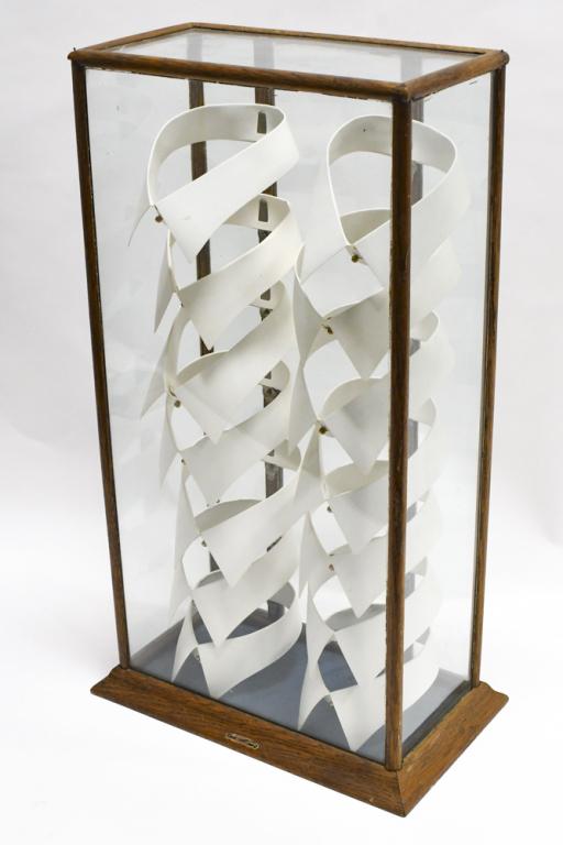 Anitque Men's Collars Adv Mercantile Display Case (1 of 10)