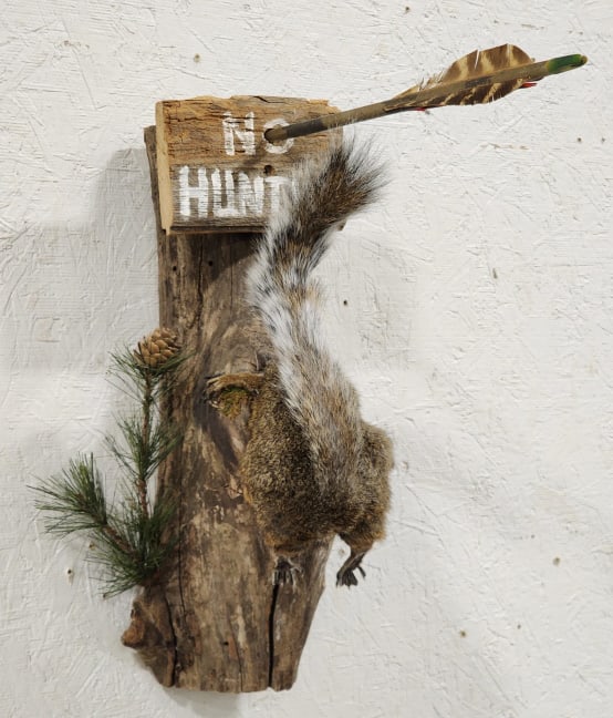 "No Hunting" Squirrel w/ Head Stuck in a Tree: "No Hunting" Squirrel w/ Head Stuck in a Tree. Mount is in nice new condition and displays nicely with arrow accessory and unique pose. Overall measures approx 8in wide x 15in tall x 14in deep.