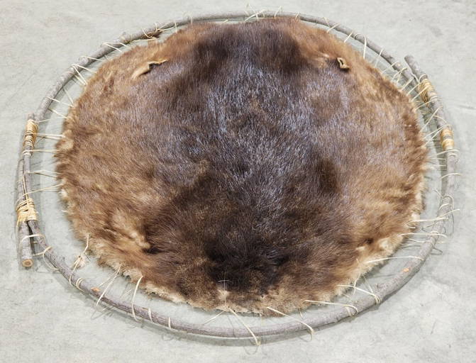 Soft Tanned Beaver Pelt On Decorative Stretcher
