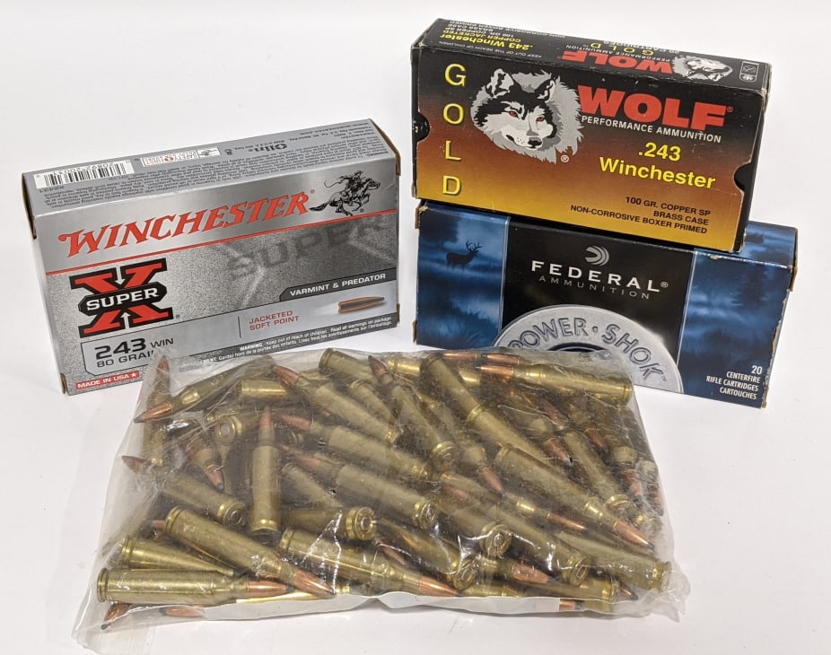 125 Rnds of Various Brand .243 Win.: 125 Rnds of Various Brand .243 Win. Brands include Wold, Federal, and Winchester and 60 rounds come in boxes of 20 and 65 rounds are loose.