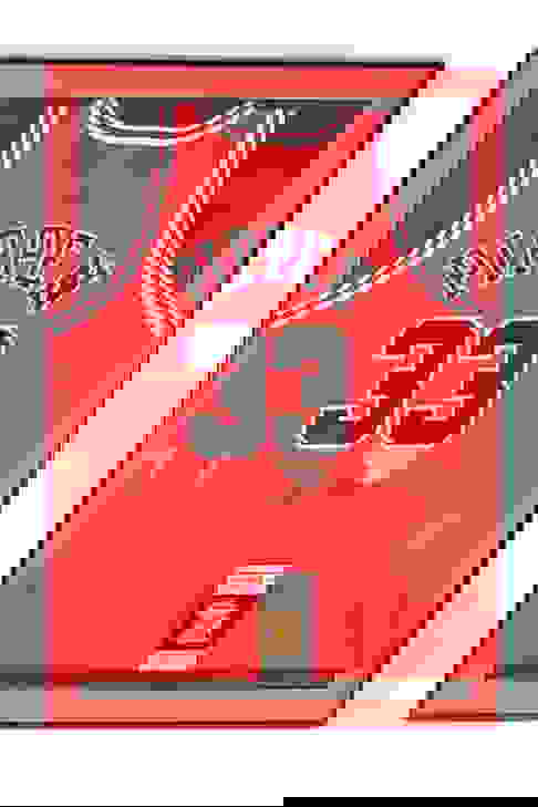 scottie pippen white bulls jersey