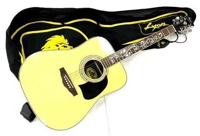 George Washburn LYON LG22 Acoustic Guitar: George Washburn LYON LG22 Acoustic Guitar with carrying case. Serial number 06080060 in good playing condition with strap 41