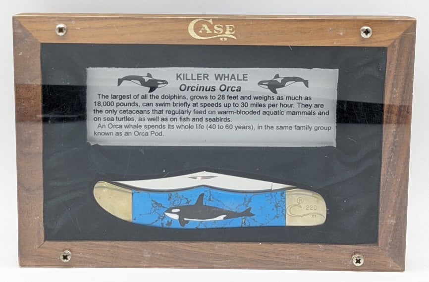 1995 Case XX Turquoise Killer Whale Knife 1 of 500: 1995 Case XX Ltd Killer Whale Orca Turquoise Folding Hunter w/ Case. Knife is numbered 220 of 500 on the upper front bolster, and is in very nice condition with light tarnishing on the bolsters from a