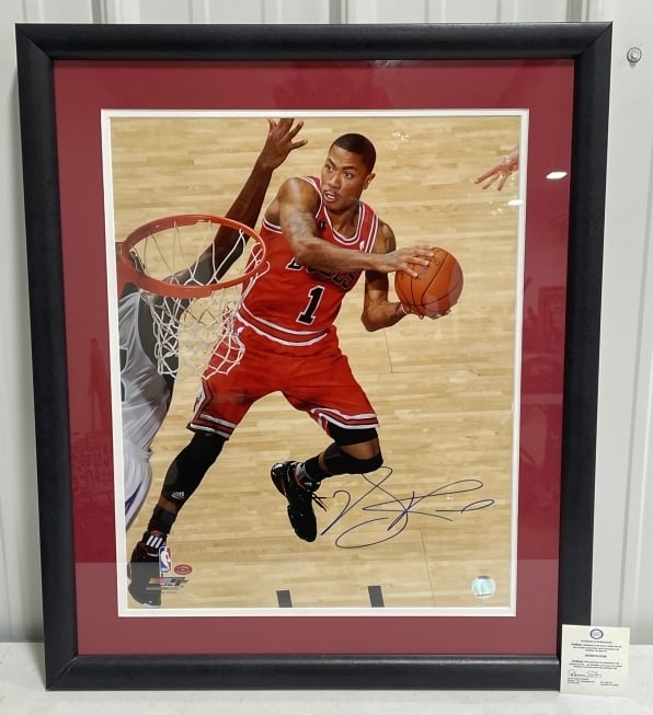Chicago Bull Derrick Rose 20 x 24 Auto Photo W/COA (1 of 5)