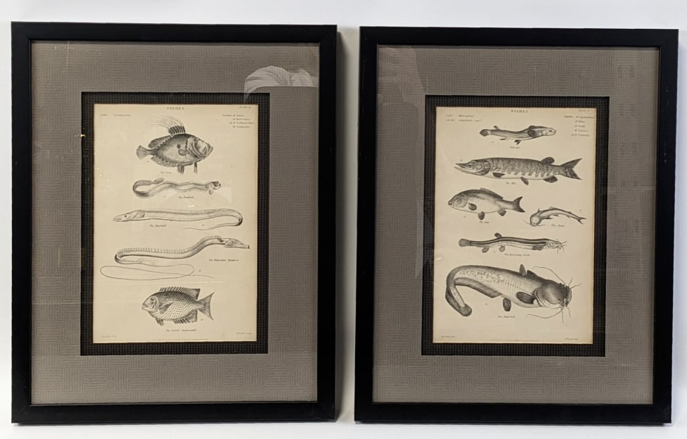 (2) Antique J.W. Lowry "Fishes" Framed Lithographs (1 of 4)