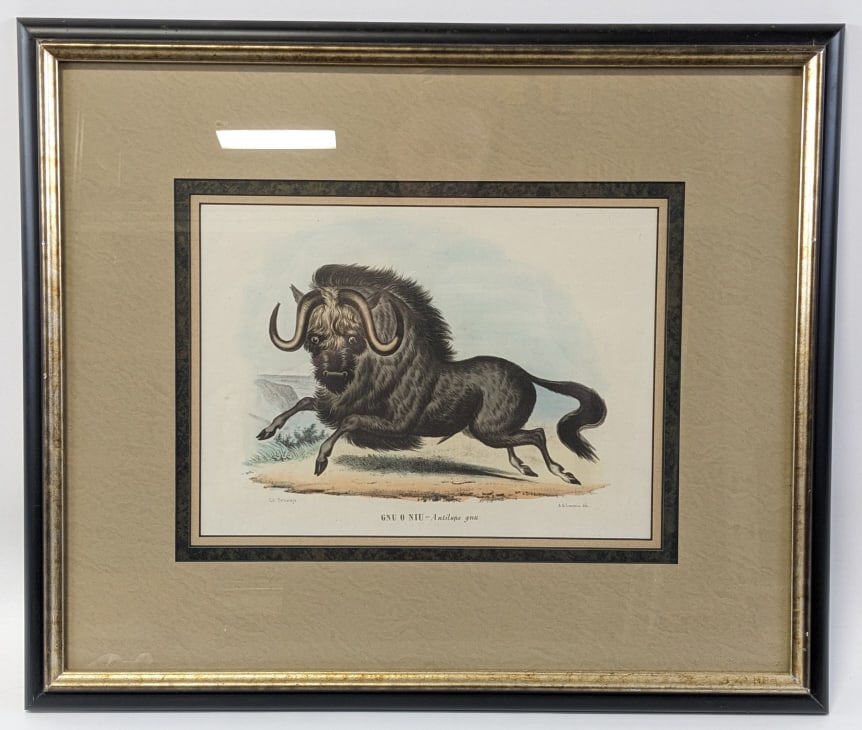 1860's "Antilope" Hand-Colored Framed Lithograph (1 of 4)